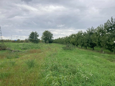 Eladó kereskedelmi, szolgáltató terület - Érd, Pest megye