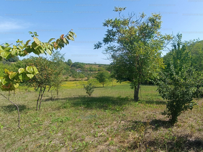 Eladó termőföld, szántó - Balatonkeresztúr, Somogy megye