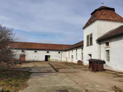 Eladó kastély - Gödöllő, Pest megye