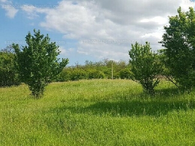 Eladó külterületi telek - Szomor, Komárom-Esztergom megye