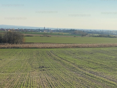 Eladó lakóövezeti telek - Keszthely, Búzavirág utca