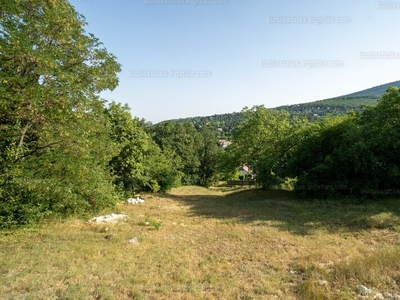 Eladó lakóövezeti telek - Leányfalu, Pest megye