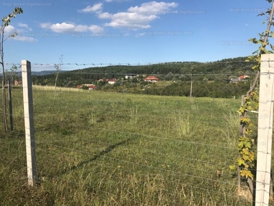 Eladó lakóövezeti telek - Tinnye, Bethlen Gábor utca