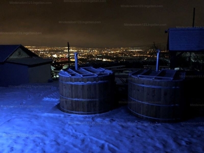 Eladó szálloda, hotel, panzió - Budaörs, Budaörsi Kamaraerdő