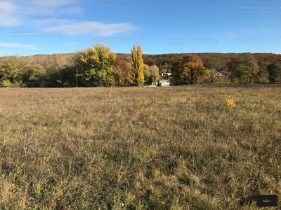 Eladó üdülőövezeti telek - Sopron, Jégmadár utca