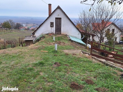 Szekszárdon 2 szintes tanya eladó