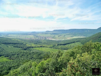 Eladó erdő - Piliscsév, Komárom-Esztergom megye