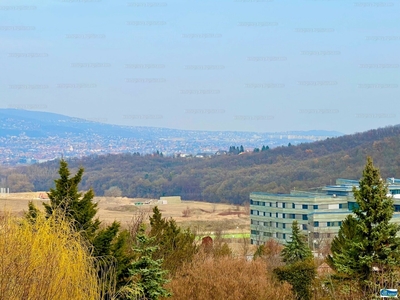 Eladó üdülőövezeti telek - Törökbálint, Mandula utca