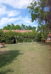 Ásotthalom, ingatlan, mezőgazd. ingatlan, 11700 m2, 12.990.000 Ft