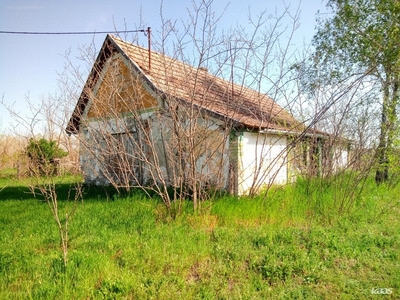 Gátsor, Ásotthalom, ingatlan, mezőgazd. ingatlan, 80 m2, 5.490.000 Ft