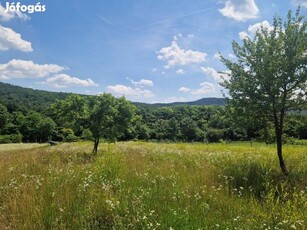 Budakeszi panorámás külterület eladó