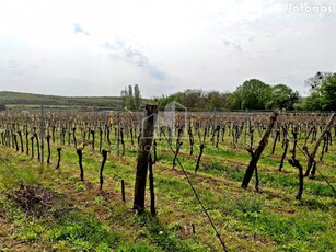 Eladó Mezőgazdasági, Pécsely 75.000.000 Ft