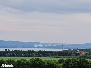 Eladó Mezőgazdasági, Tagyon