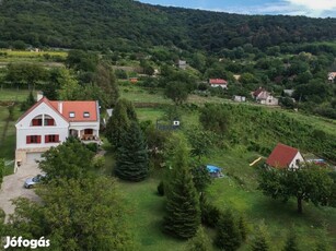 Ha madárcsicsergős, ősfás birtokon képzeli el a jövőjét... - Baj