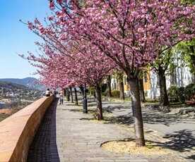 Kiadó jó állapotú lakás - Budapest I. kerület