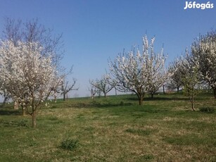 Kiváló adottságú panorámás telek csendes helyen - Pécs