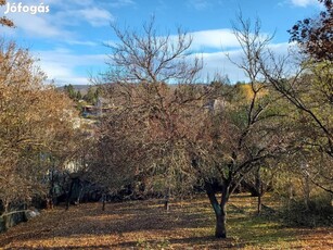 Panorámás családi ház Budakeszin