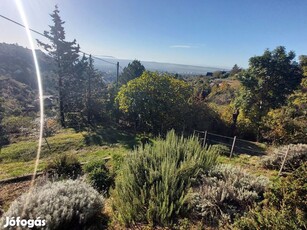 Pécs Szkókóban, panorámás, belterületi építési telek, hétvégi házzal,