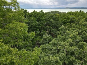 Balatonföldvár, József Attila utca 13.