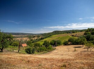 Eladó mezogazdasagi ingatlanTapolca