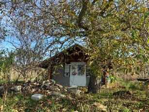 Eladó mezogazdasagi ingatlanTapolca