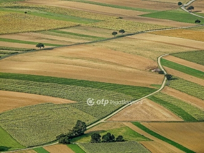 Csomád, ingatlan, telek, 4.000.000 Ft