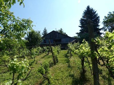 Nagypostavölgy, Pécs, ingatlan, telek, 13.900.000 Ft