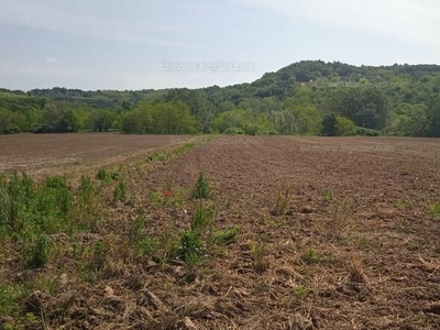 Eladó általános mezőgazdasági ingatlan - Rezi, Zala megye