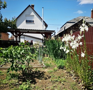 Eladó családi ház - Debrecen, Józsa