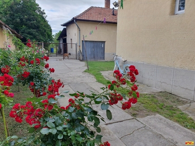 Eladó családi ház - Mórahalom, Csongrád-Csanád megye