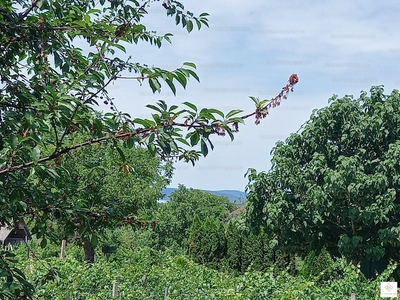 Eladó egyéb telek - Balatonszemes, Somogy megye