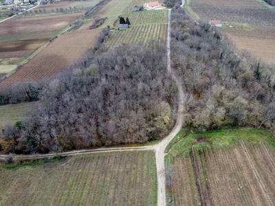 Eladó erdő - Balatoncsicsó, Gyöngyvirág utca