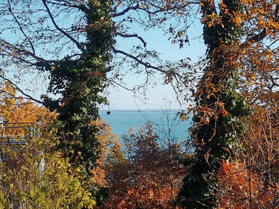 Eladó hétvégi házas nyaraló - Balatonalmádi, Iskola utca