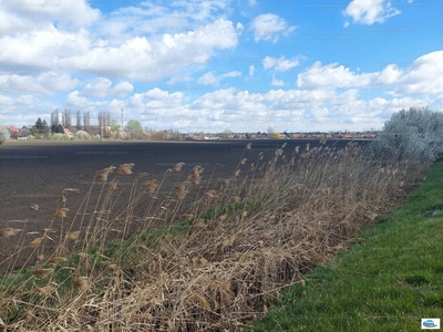 Eladó kereskedelmi, szolgáltató terület - Érd, Szent Ilona-telep