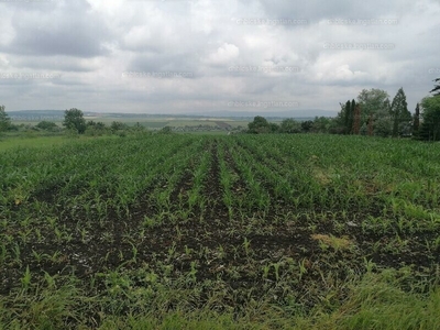 Eladó külterületi telek - Bicske, Galagonyás