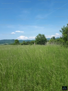 Eladó külterületi telek - Pomáz, Pest megye