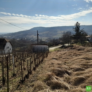 Eladó külterületi telek - Szekszárd, Sárköz utca