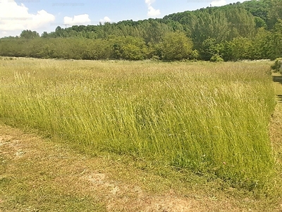 Eladó lakóövezeti telek - Eplény, Veszprém megye