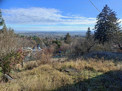 Eladó lakóövezeti telek - Leányfalu, Hegyoldal