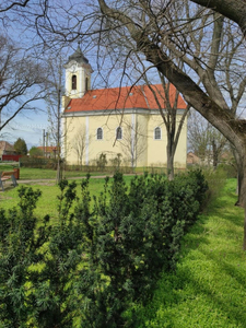 Eladó lakóövezeti telek - Ludas, Fő út 24.