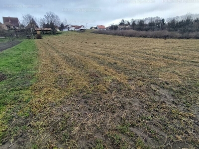 Eladó lakóövezeti telek - Pázmánd, Fejér megye