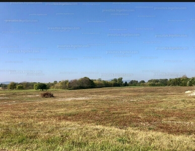 Eladó lakóövezeti telek - Szada, Pest megye