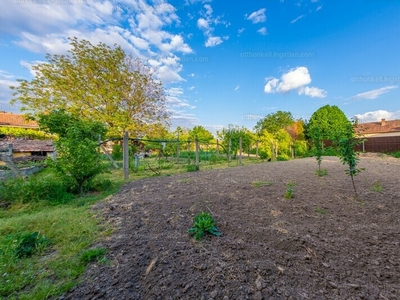 Eladó lakóövezeti telek - Szeged, Petőfitelep