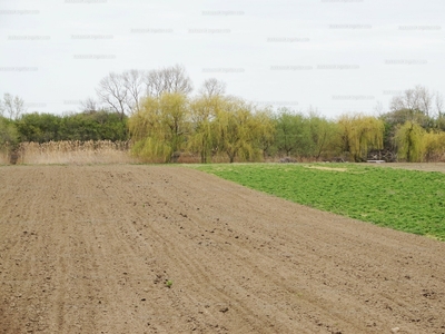 Eladó lakóövezeti telek - Szeged, Szentmihály