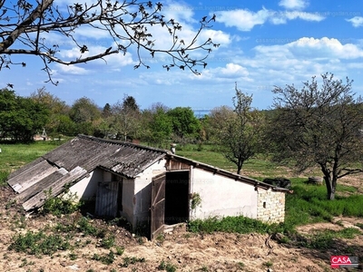 Eladó pince, présház - Balatonalmádi, Veszprém megye