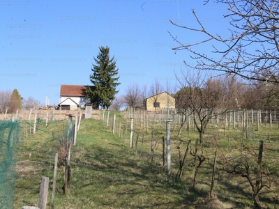 Eladó pince, présház - Balatonberény, Somogy megye