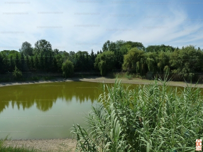 Eladó szálloda, hotel, panzió - Ráckeve, Belváros