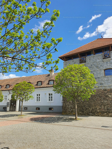 Eladó szálloda, hotel, panzió - Szécsény, Ady Endre út