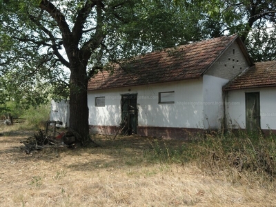 Eladó tanya - Kiskunhalas, Bács-Kiskun megye