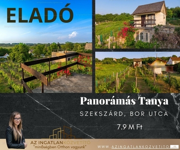 Eladó tanya - Szekszárd, Bor utca